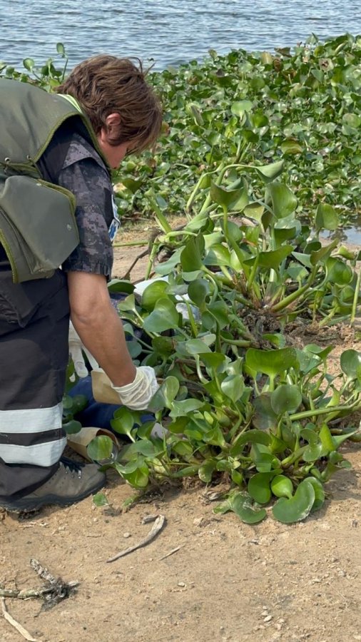 Congreso Triaje intervención Rescate 2023