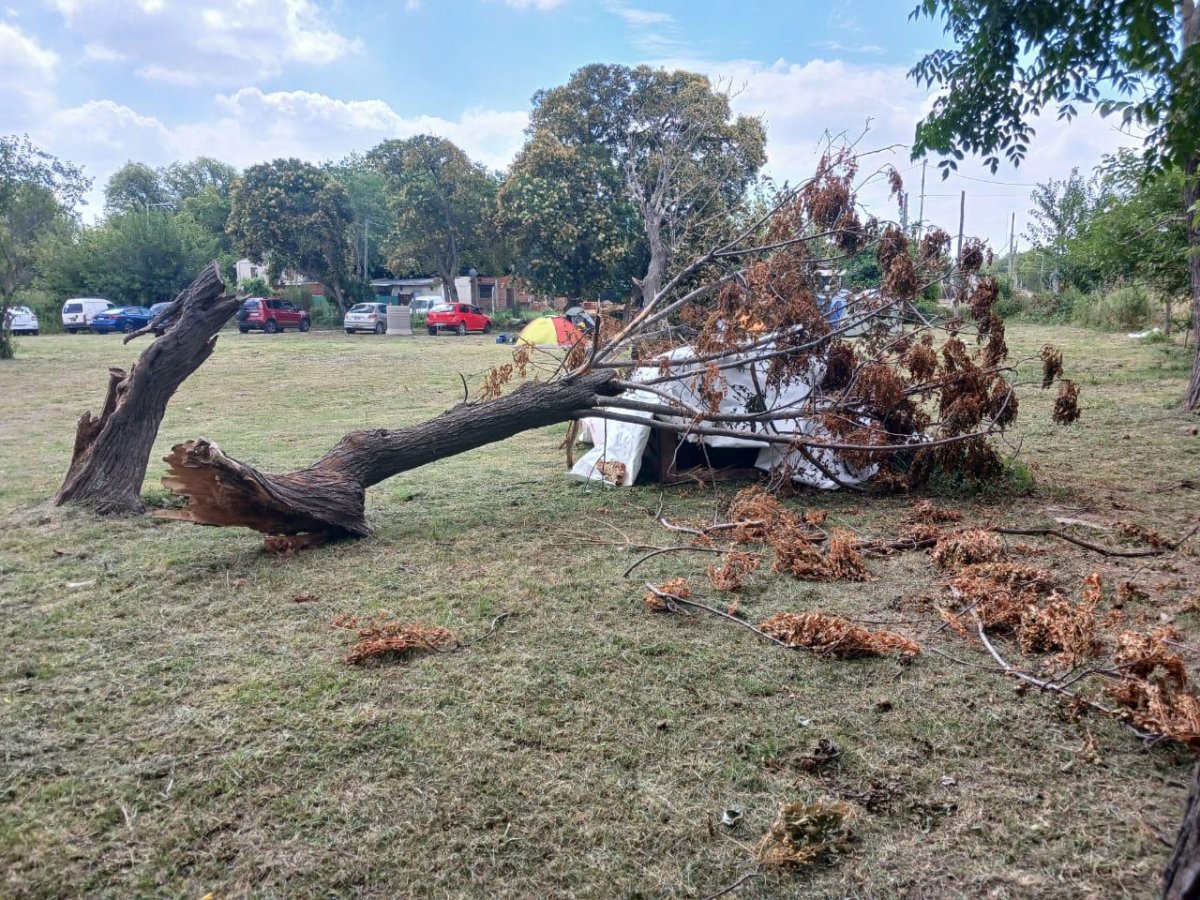 SAR Y CRIMINALISTICS ON FIRE 2024-2025