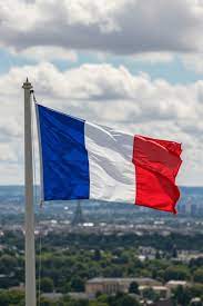 Representante de Criminalistics on Fire Francia